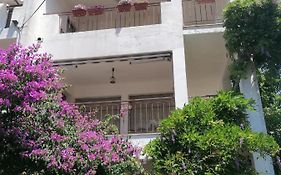 Apartmani Ana